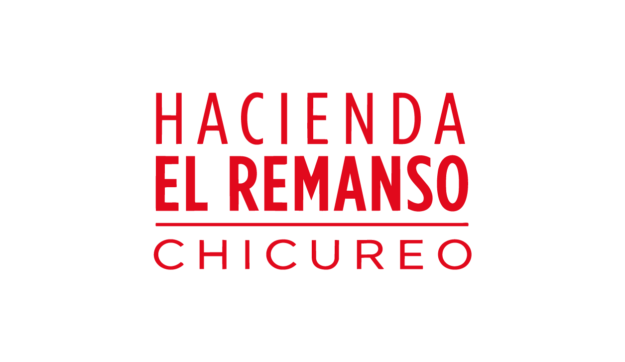 Recurso 14